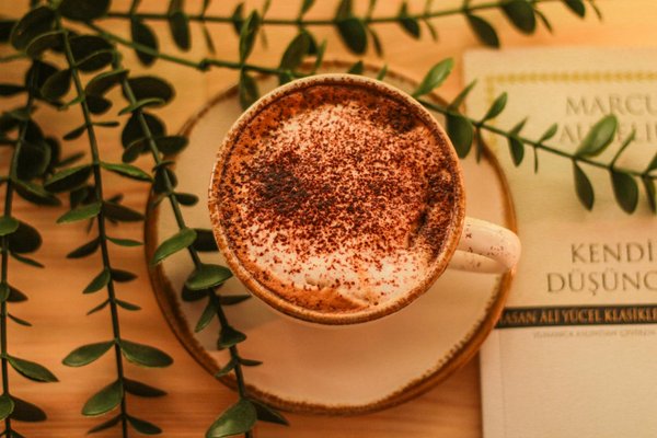 Soin de la peau bio : mythe ou réalité ?